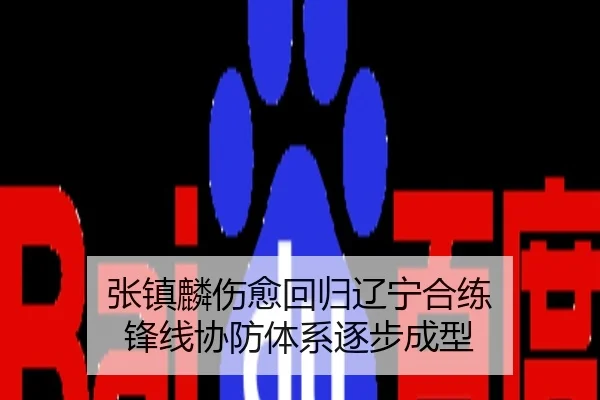 张镇麟伤愈回归辽宁合练 锋线协防体系逐步成型