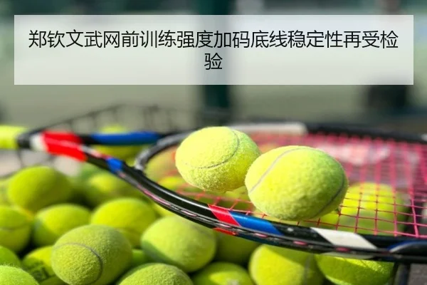 郑钦文武网前训练强度加码底线稳定性再受检验